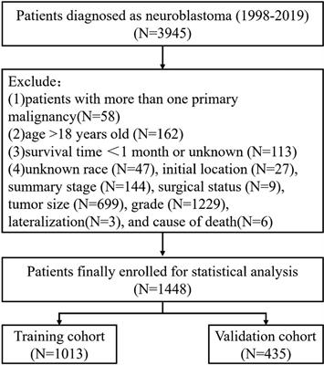 Establishment and validation of a nomogram to predict cancer-specific survival in pediatric neuroblastoma patients